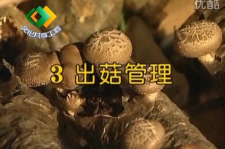 ManBetX体育