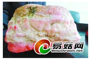 ManBetX体育