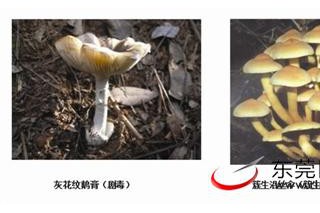 ManBetX体育