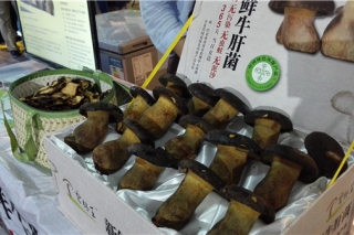ManBetX体育