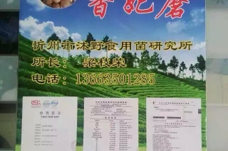ManBetX体育