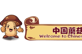 ManBetX体育