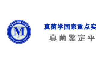 ManBetX体育