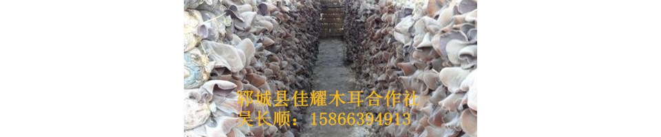ManBetX体育