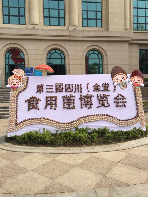 ManBetX体育