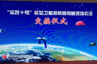ManBetX体育