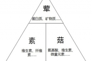 ManBetX体育