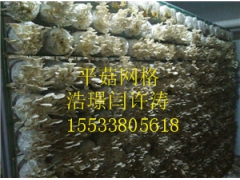 ManBetX体育