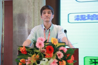 林衍铨:竹荪栽培见效快、效益高、适合家庭种植 ManBetX体育