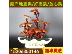 ManBetX体育