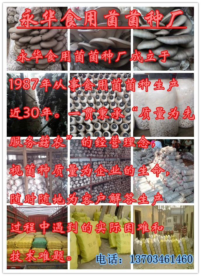 ManBetX体育