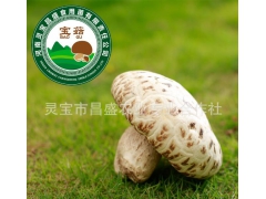 ManBetX体育