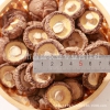ManBetX体育