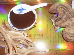 ManBetX体育