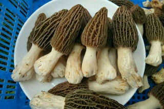 ManBetX体育
