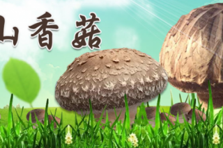 ManBetX体育