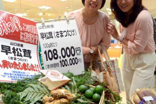 ManBetX体育