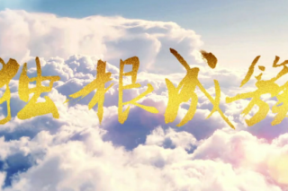 ManBetX体育