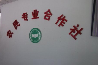 ManBetX体育