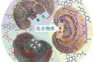 ManBetX体育