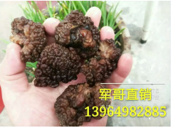 ManBetX体育