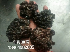 ManBetX体育