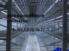 ManBetX体育