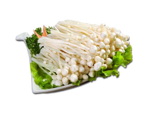 ManBetX体育
