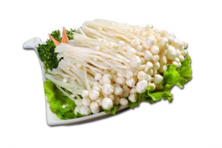 ManBetX体育