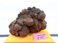 ManBetX体育