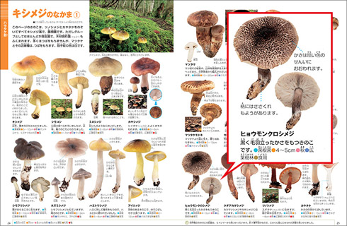 ManBetX体育