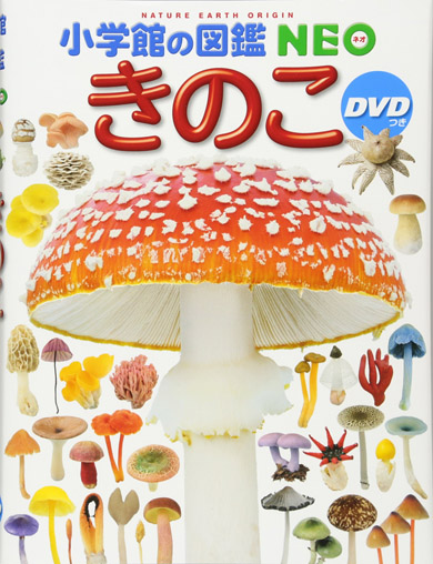 ManBetX体育