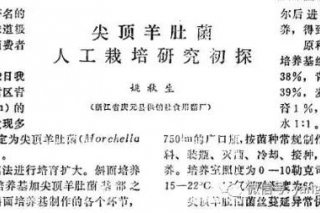 ManBetX体育
