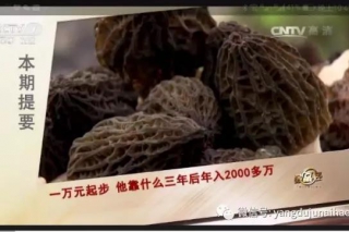 ManBetX体育