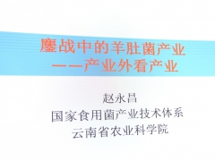 ManBetX体育