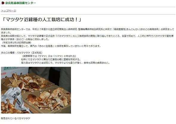 ManBetX体育