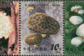 ManBetX体育