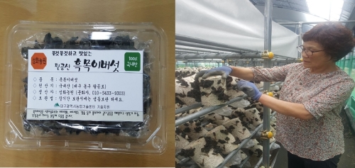 ManBetX体育