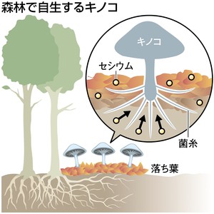 ManBetX体育