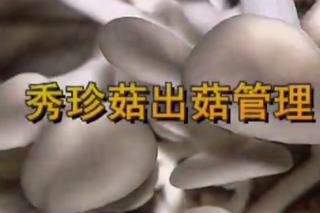 ManBetX体育