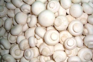 ManBetX体育