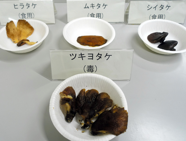 ManBetX体育