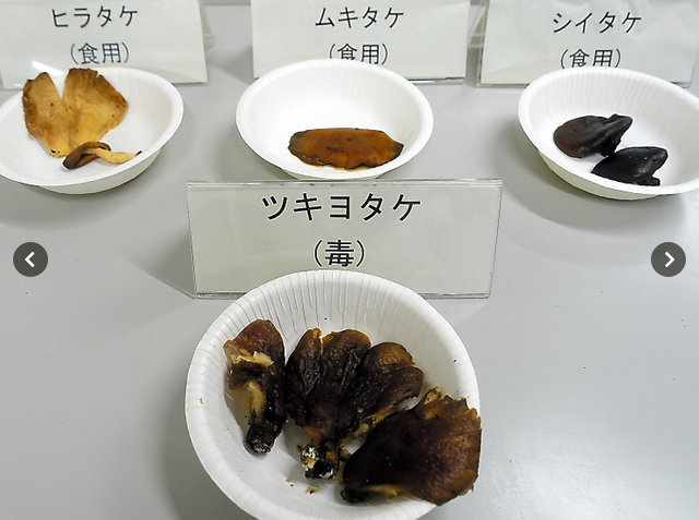 ManBetX体育