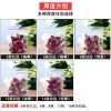 ManBetX体育