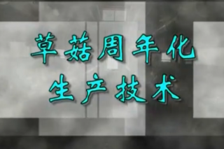 ManBetX体育