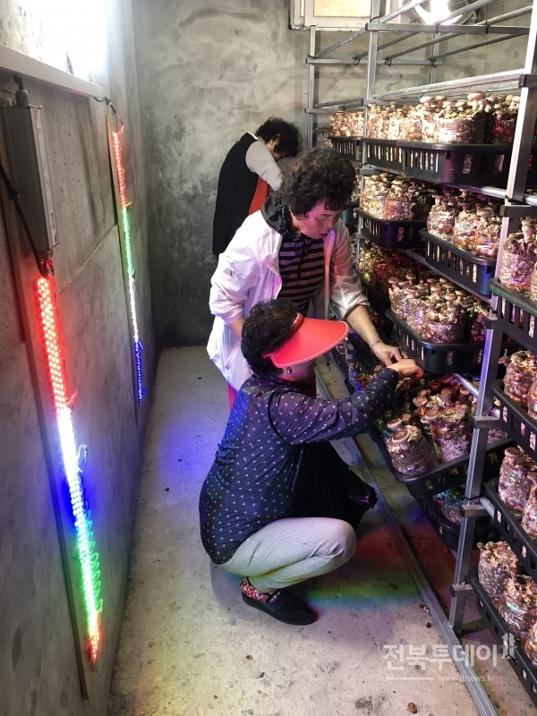 ManBetX体育