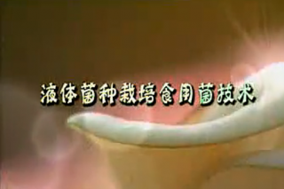 ManBetX体育