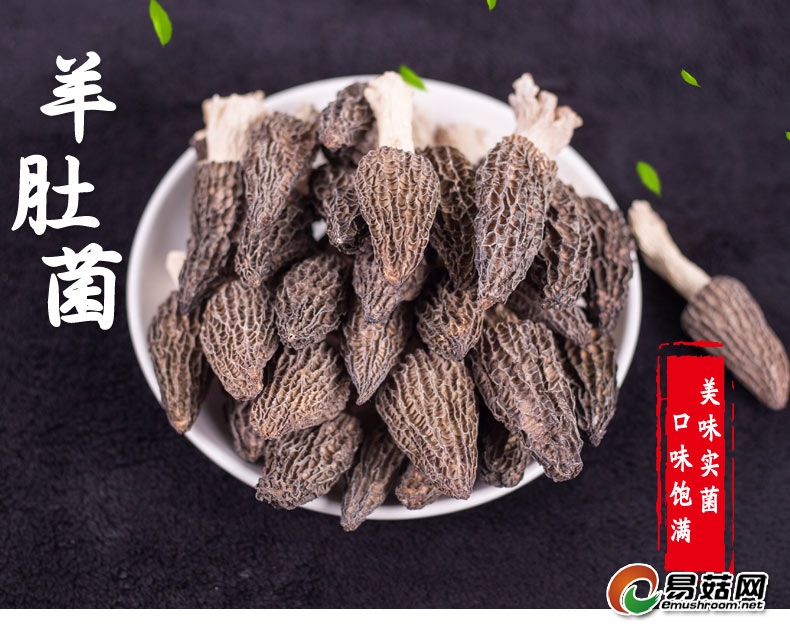 ManBetX体育