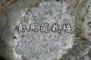 ManBetX体育