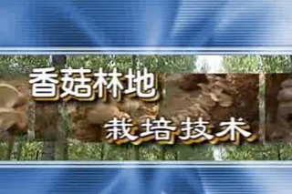 ManBetX体育